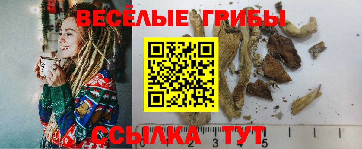 Галлюциногенные грибы мухоморы Баксан