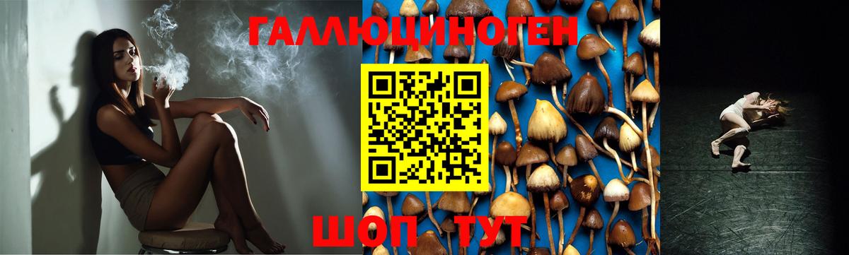 Псилоцибиновые грибы мицелий  Галлюциногенные грибы MAGIC MUSHROOMS  Вход с VPN  Баксан 